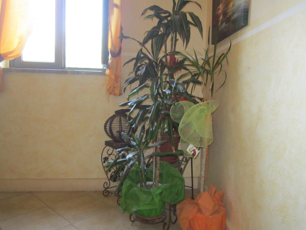 Bed & Breakfast Il Sole Nascente Furci Siculo